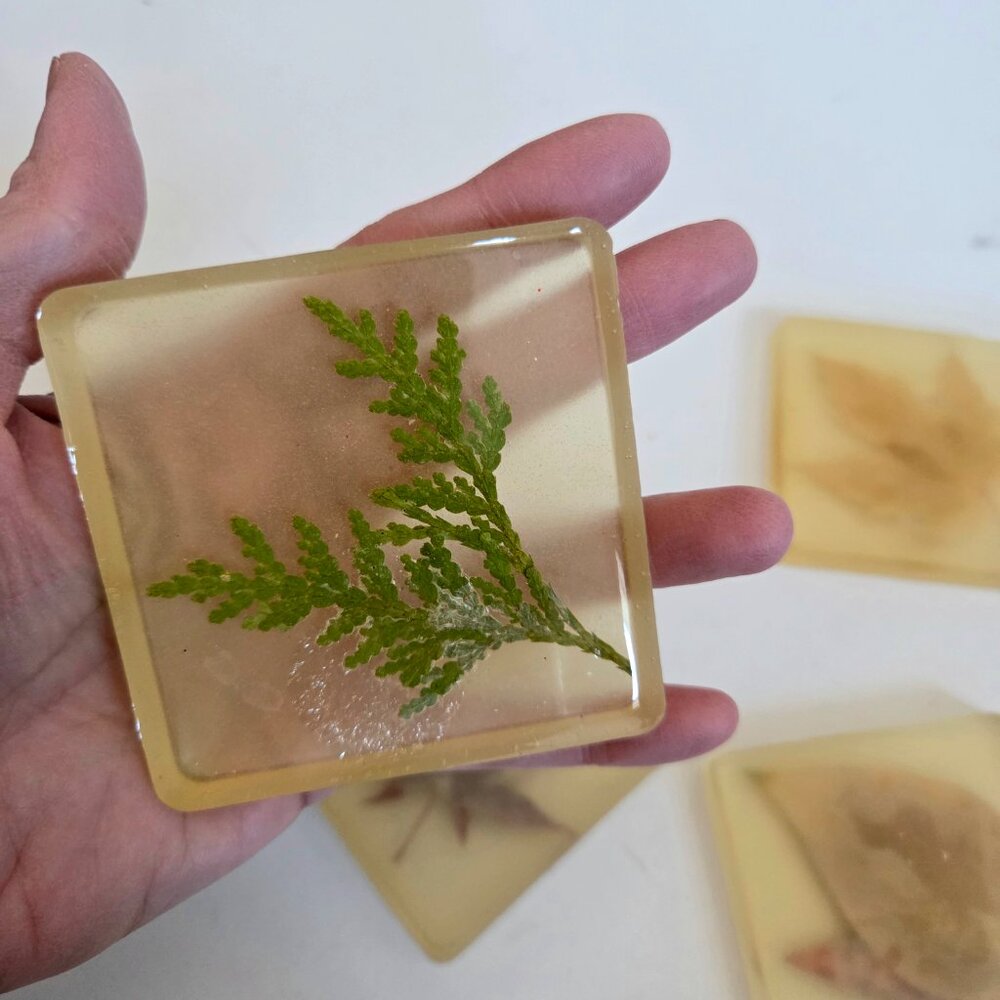 Set of 4 vintage handmade Lucite coasters with dry pressed leaves. - Picture 7 of 8